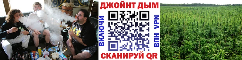 Купить где  Каменск-Шахтинский  Каннабис VHQ 